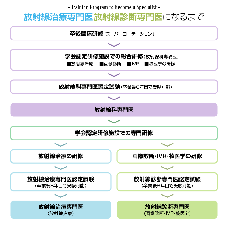 放射線治療専門医・放射線診断専門医になるまで