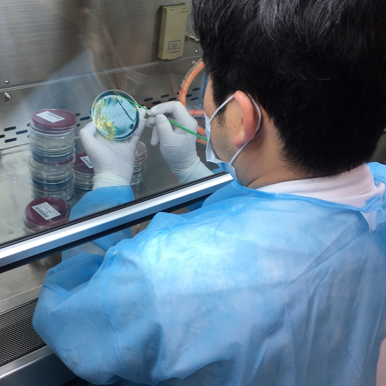 感染症検査