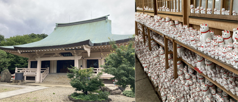 豪徳寺の招き猫