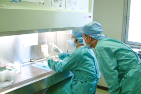 研修体制の様子