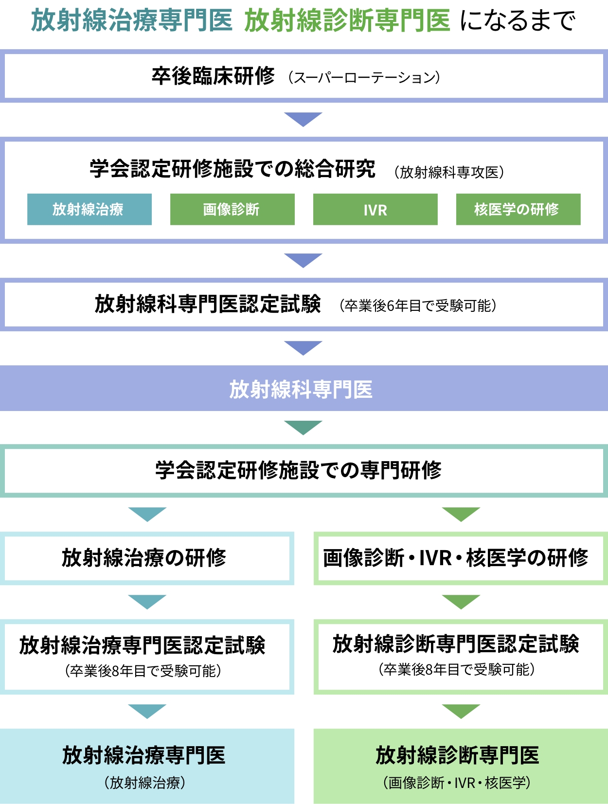 放射線治療専門医・放射線診断専門医になるまでの流れの図