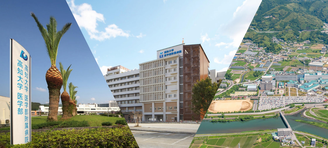 アクセス / 連絡先
