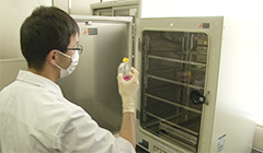 生体科学安全研究室作業風景1