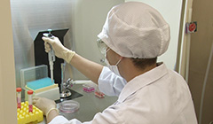 生体科学安全研究室作業風景3