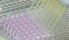 生体科学安全研究室作業風景4