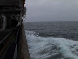 IMGA0074.JPG