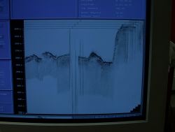 IMGA0133.JPG