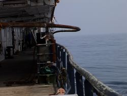 IMGA0149.JPG