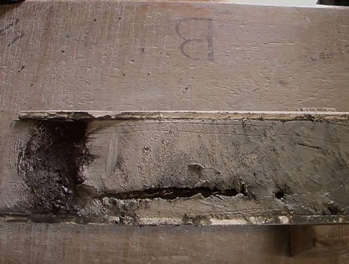m_IMGA0096.JPG