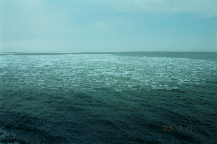 m_GarinkoCruise_03.jpg