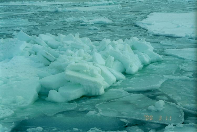 m_GarinkoCruise_06.jpg