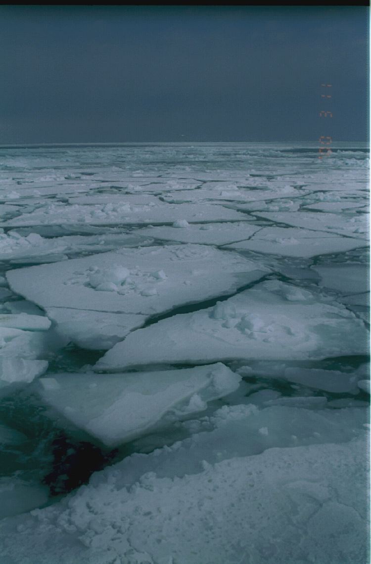 m_GarinkoCruise_13.jpg
