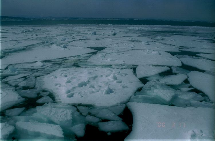 m_GarinkoCruise_16.JPG