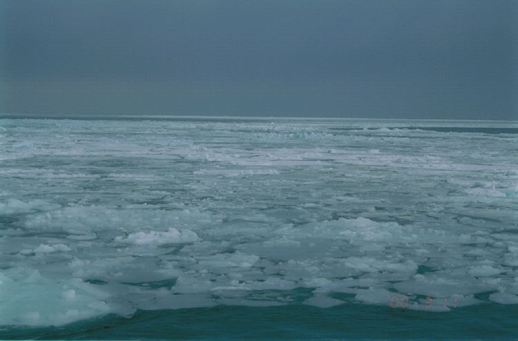 m_GarinkoCruise_21.jpg