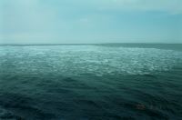 GarinkoCruise_03.jpg