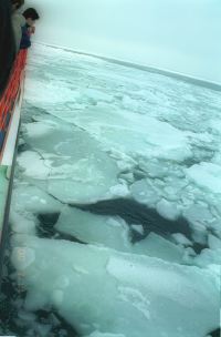 GarinkoCruise_04.jpg
