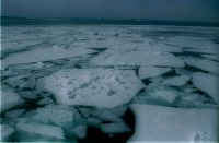 GarinkoCruise_16.JPG