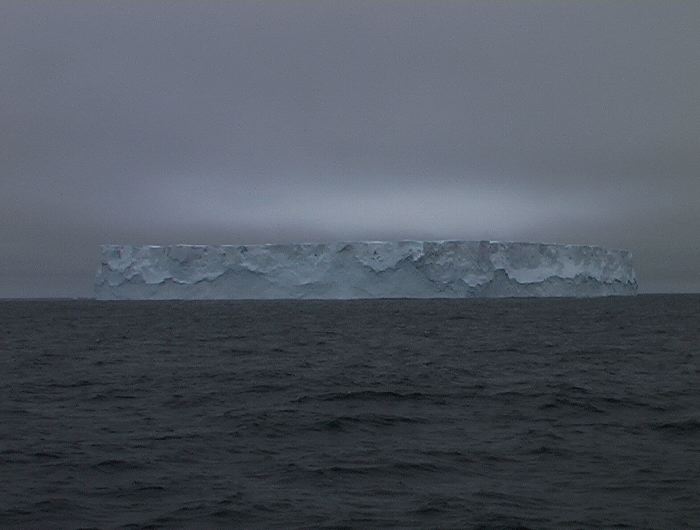 m_185.JPG