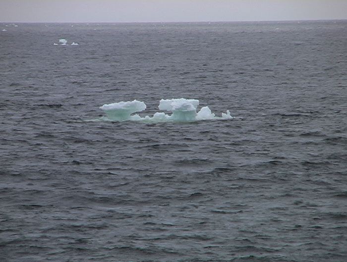 m_194.JPG