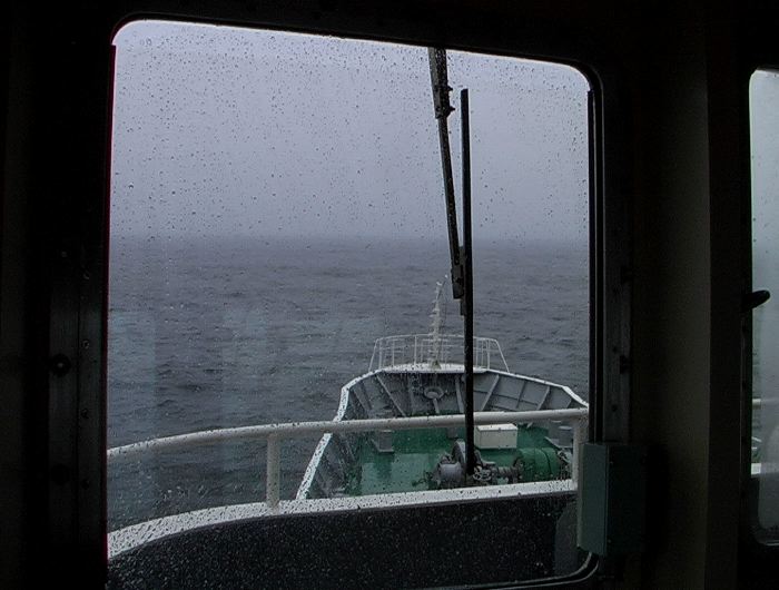 m_205.JPG