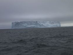 193.JPG