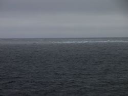 195.JPG