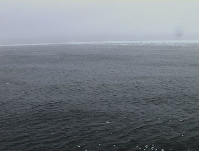 m_227.JPG