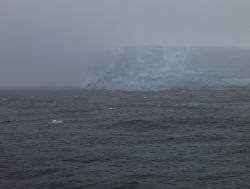 215.JPG