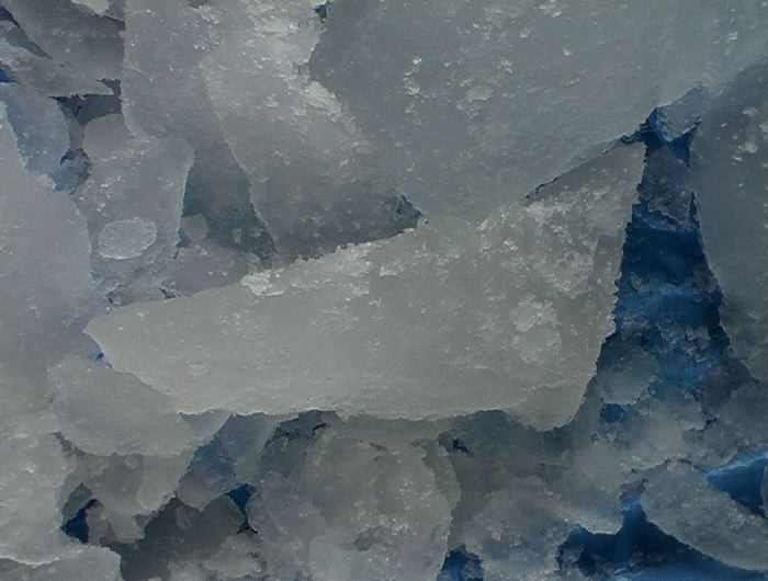 m_256.JPG