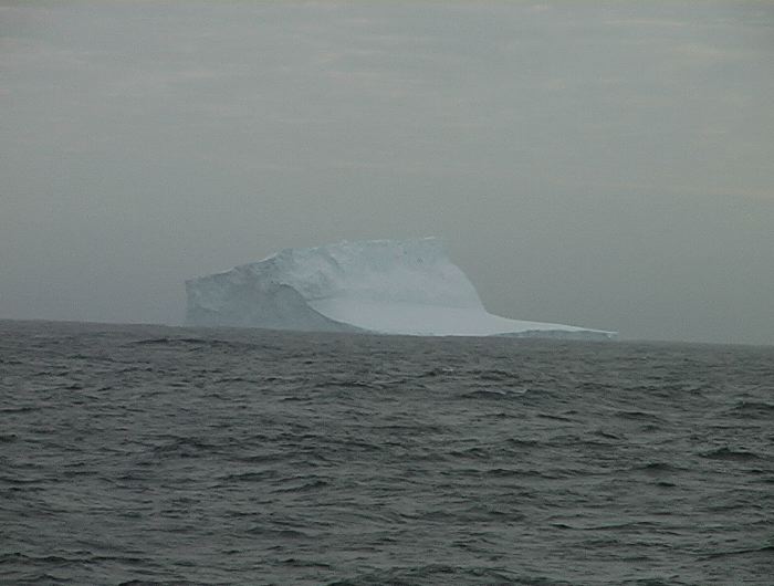 m_267.JPG