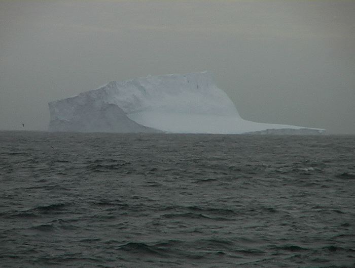 m_269.JPG