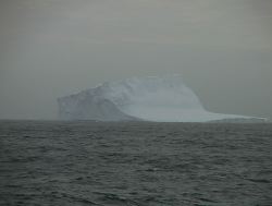 268.JPG