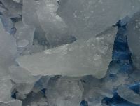 IMGA0256.JPG