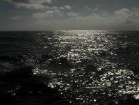 IMGA0307.JPG