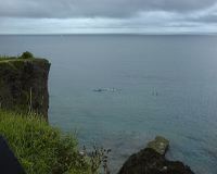 DSC00007.JPG