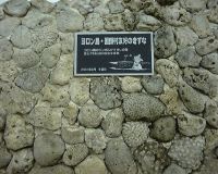 DSC00020.JPG
