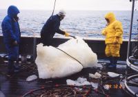KH94_4_22.JPG