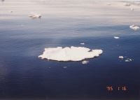 KH94_4_50.JPG