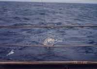KH94_4_53.JPG