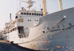 Oshoro_001.jpg