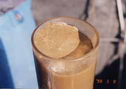 Oshoro_006.jpg