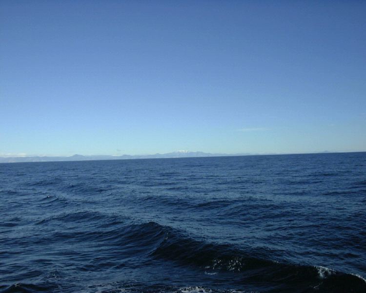 m_DSC00001.JPG