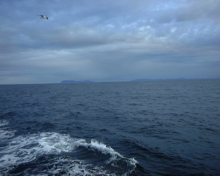 m_DSC00012.JPG