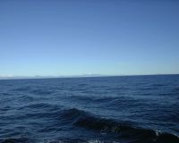 DSC00001.JPG