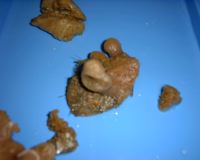 DSC00014.JPG