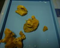 DSC00015.JPG