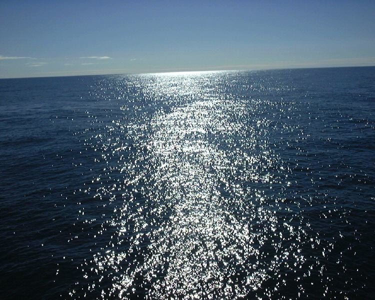 m_DSC00005.JPG
