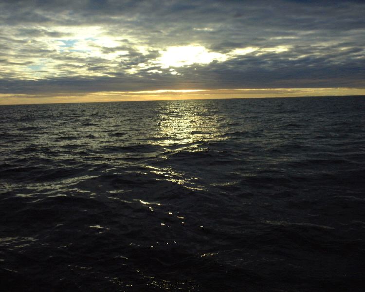 m_DSC00008.JPG