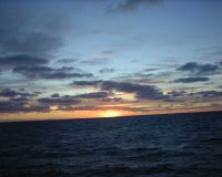 DSC00004.JPG
