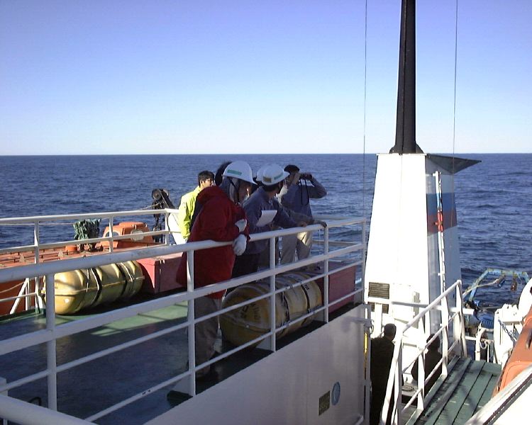 m_DSC00003.JPG
